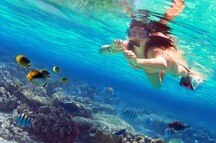 Set out to explore the best snorkeling sights Set out to explore the best snorkeling sights